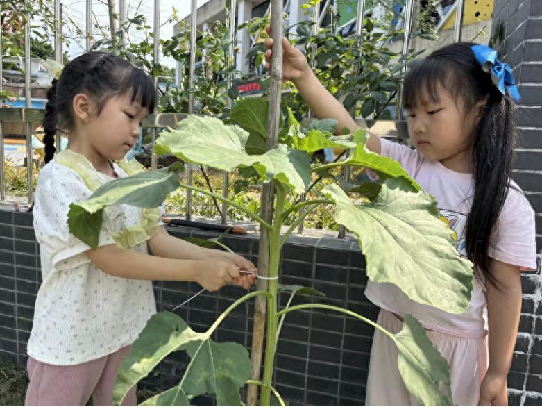 土地小课堂 童趣大发现——宜宾市南溪区蜀粤幼儿园开展全国土地日主题宣传活动