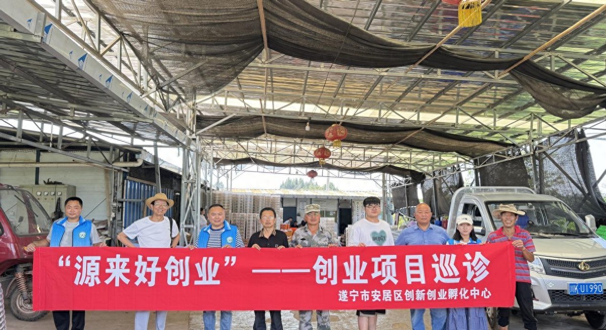 高级农艺师巡诊安居区农业基地为鲜桃莲藕产业注入发展新动能