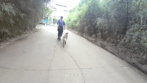 遂宁:山间枇杷林里的团圆！警民烈日寻回八旬迷途老人