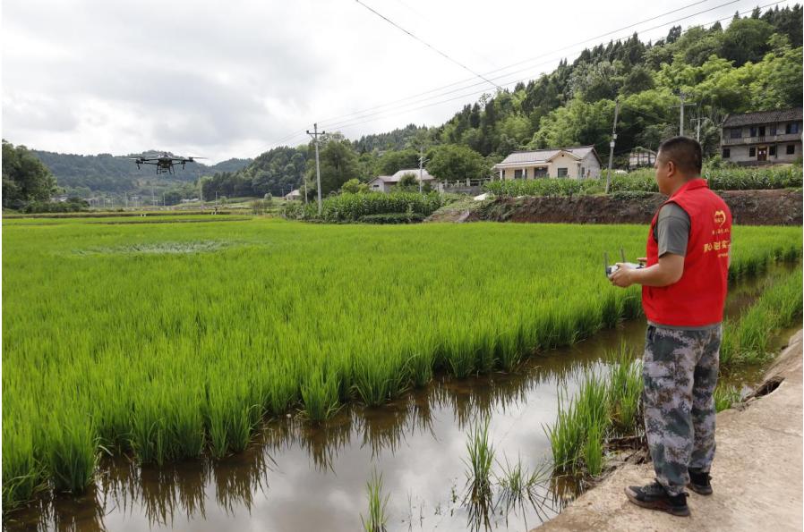 驻村帮扶记｜转业再“出征” “兵书记”张凯带出乡村振兴硬核力量