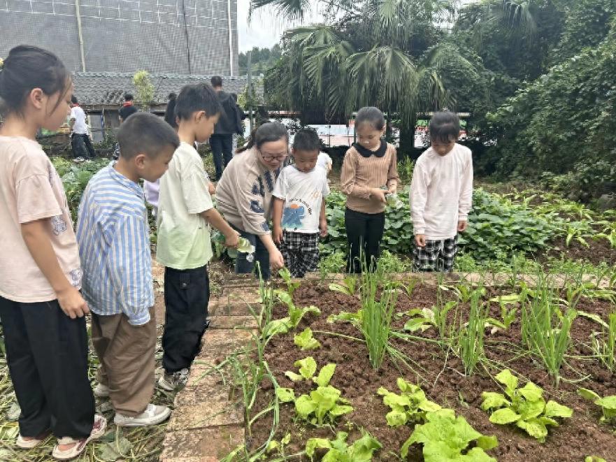 遂宁市安居区东禅小学开展2025年劳动周系列活动
