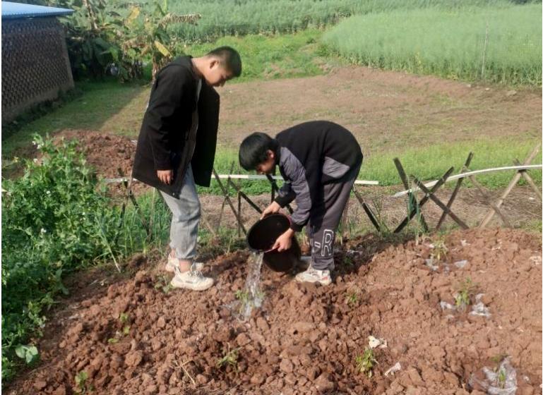 江安一中开展校园劳动基地种植活动