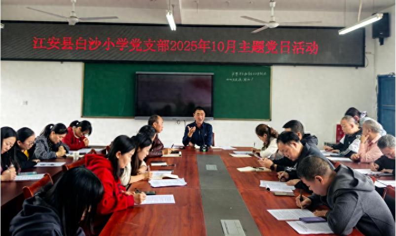宜宾市江安县阳春镇白沙小学校党支部开展2025年10月主题党日活动