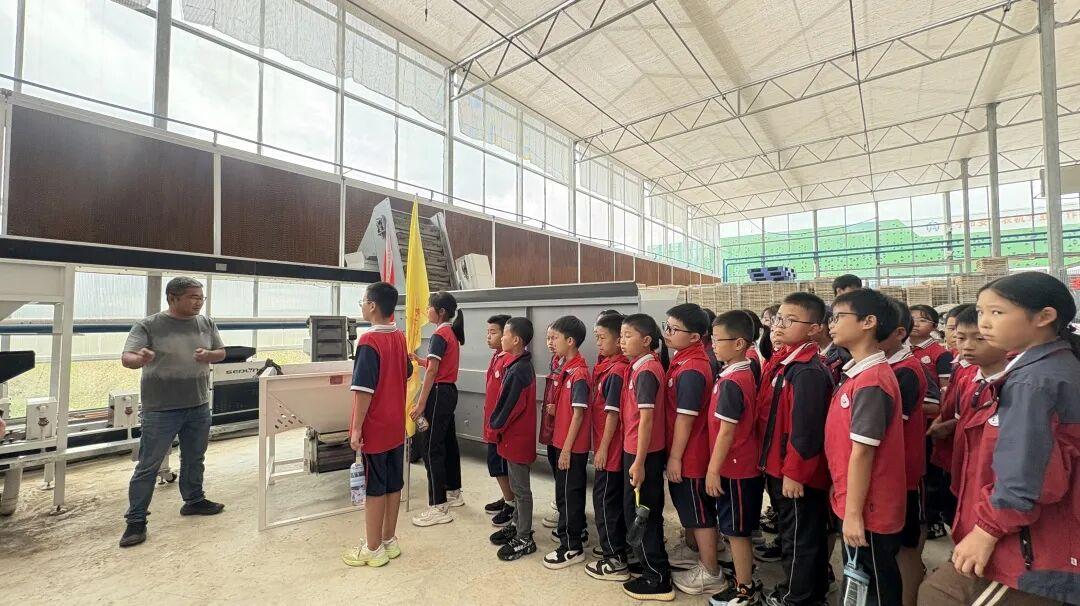 走出课堂，拥抱泥土 ——安居三小学子体验别样“农耕课堂”