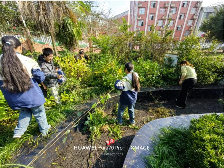 宜宾市高县落润中学：深入开展爱国卫生运动 共建共享文明健康校园