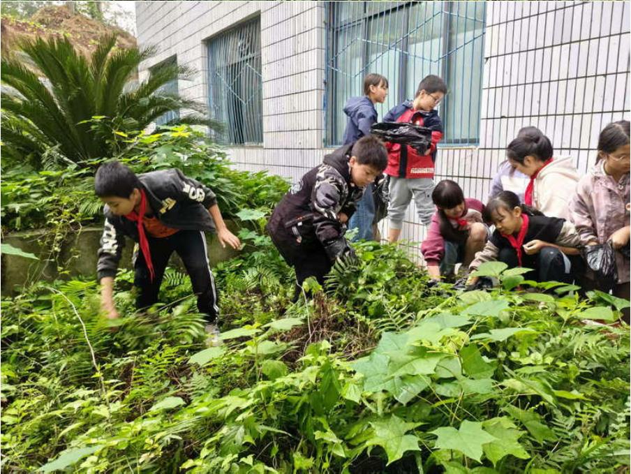 文明于心 洁净于行——安居区大安小学开展校园清扫劳动实践周活动