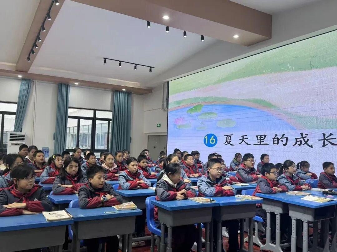 遂宁安居三小“核心素养常态课堂教学”语文专场顺利开展