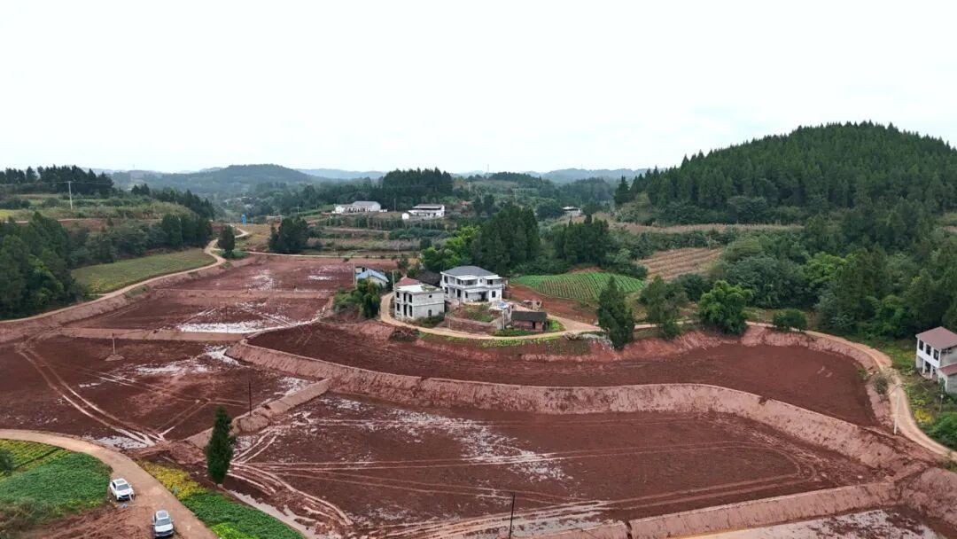 安居区：小田变大田 良田绘“丰”景 高标准农田建设改到农民心坎上