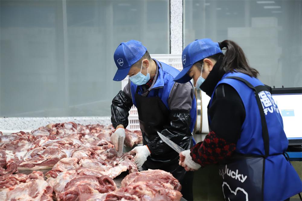 让学生吃上“放心餐”！安居区62所学校“校园餐”从源头直达餐桌