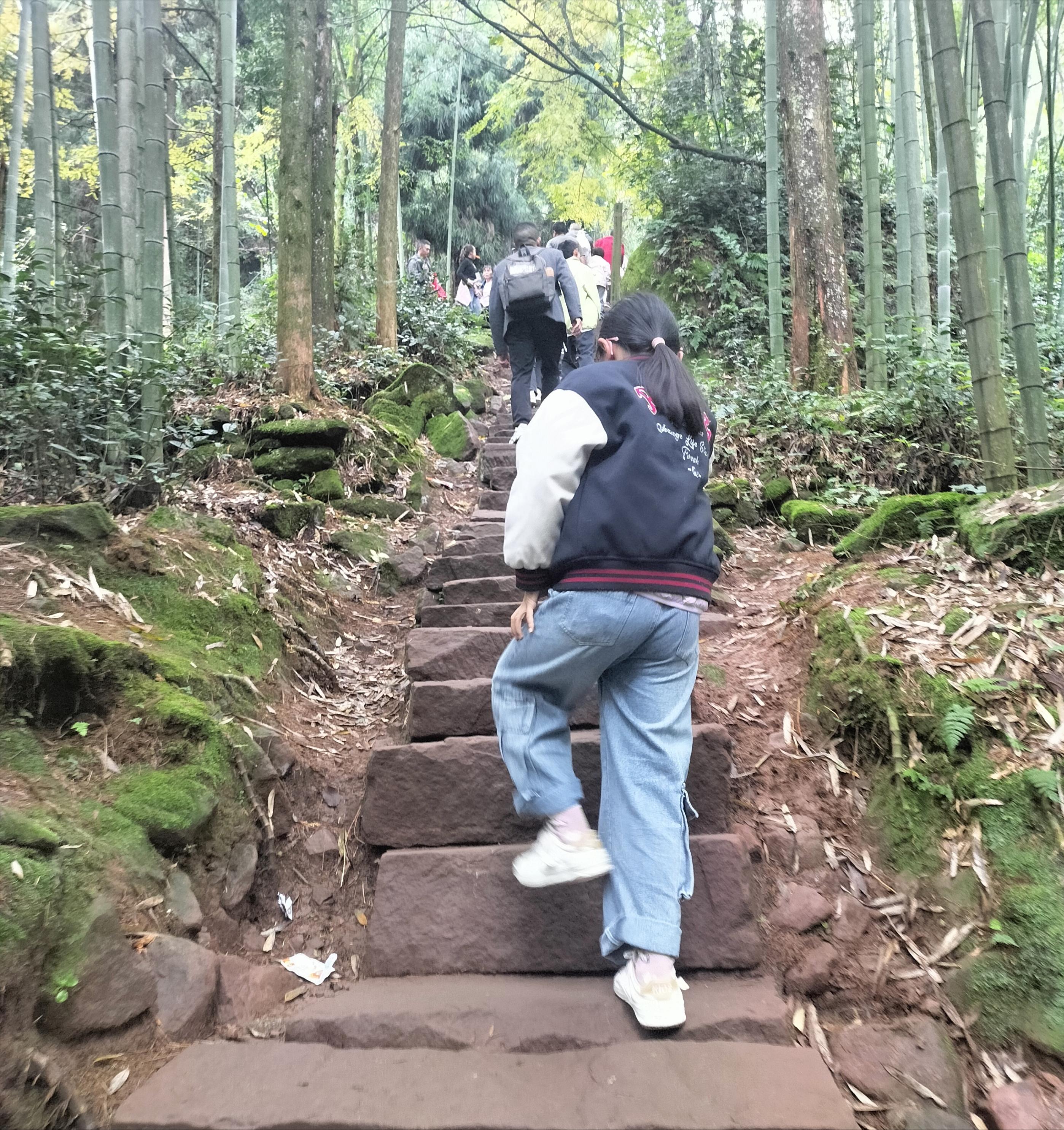 安居一小秋假：拥抱秋日自然，收获诗意与勇气