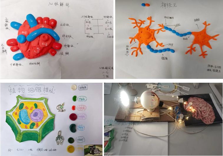 巧构模型探奥秘 实践育人绽芳华——宜宾市南溪区桂溪中学地理、生物模型创意大赛圆满落幕