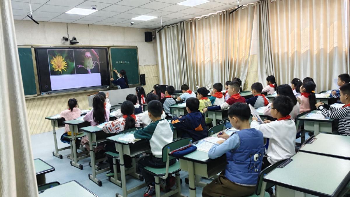 遂宁安居区三家小学：优化课堂教学方式，提高学生学习兴趣