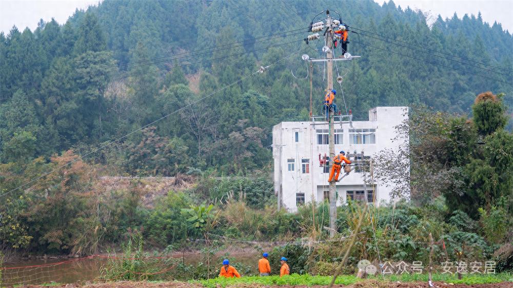 “冻”真格！遂宁安居供电开启“硬核”护网模式