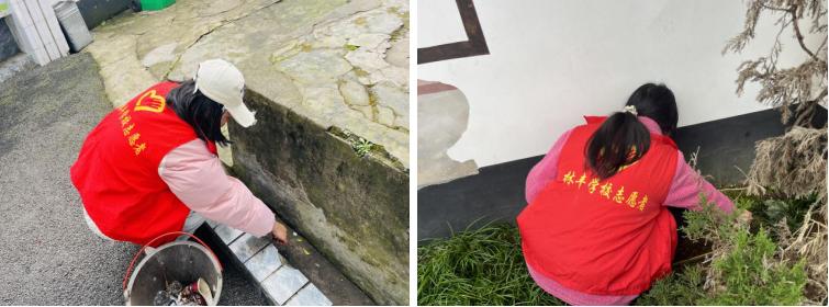 青春护校园 团员践初心——南溪区林丰学校开展志愿者校园清扫活动