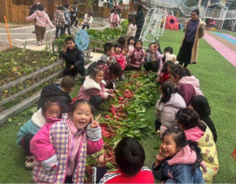 萝卜大丰收！安居区白马幼儿园大二班种植园萝卜采收活动圆满结束
