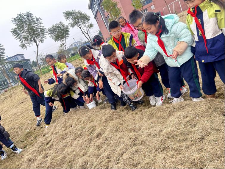沃土藏趣 劳动润心——宜宾市南溪区长江学校三年级开展有机肥制作劳动实践活动