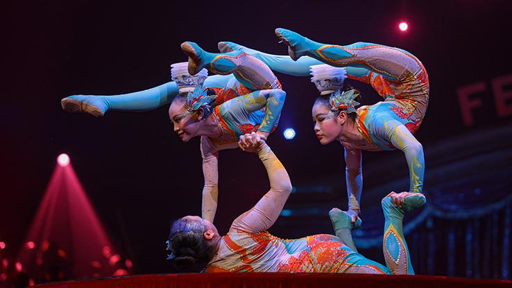 创纪录！遂宁杂技斩获蒙特卡洛双“金奖”