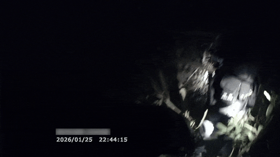 遂宁公安:多警种深夜联动搜山12小时，民警收到“最高调”的感谢