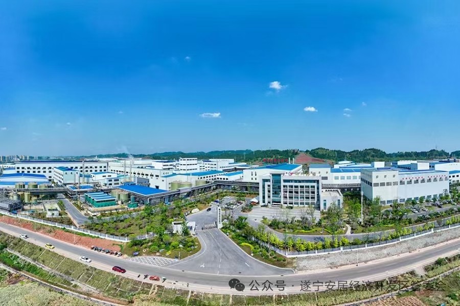 安居区委书记、区长杨文彬：乘势而上推动安居高质量跨越式发展