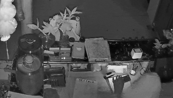 快到离谱！遂宁一男子深夜潜入商铺盗窃，警方当日抓获归案