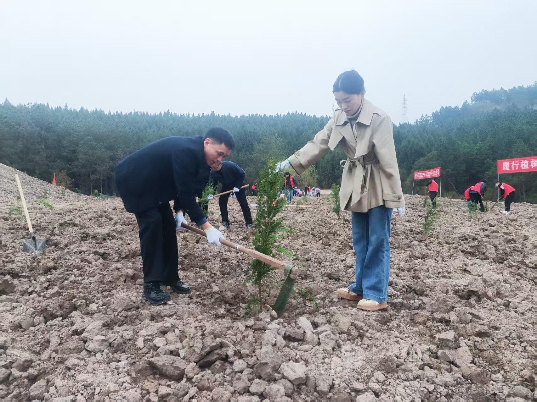 广元市昭化区开展2026年春季义务植树活动