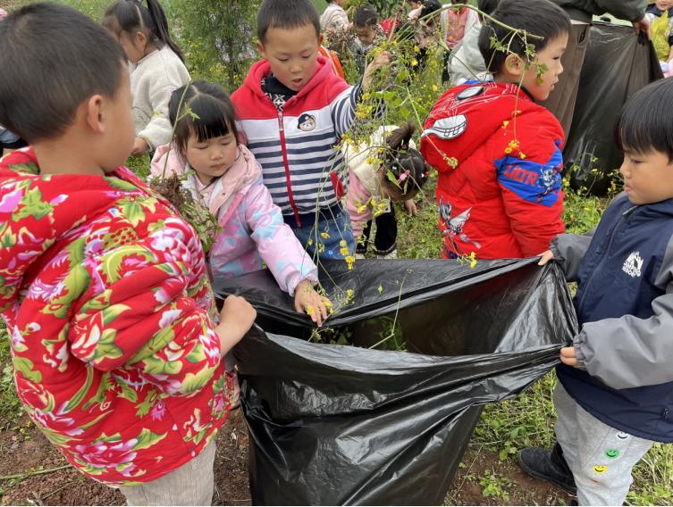 宜宾市叙州区双龙镇中心幼儿园开展农耕除草实践活动