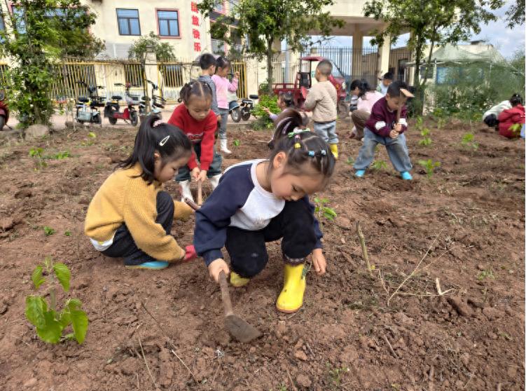 宜宾市叙州区双龙镇中心幼儿园开展农耕播种实践活动