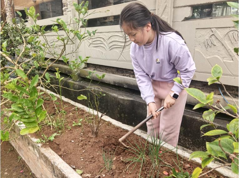 春风添新绿 家校共成长——宜宾市南溪区福临小学校四年级4班开展亲子植树活动