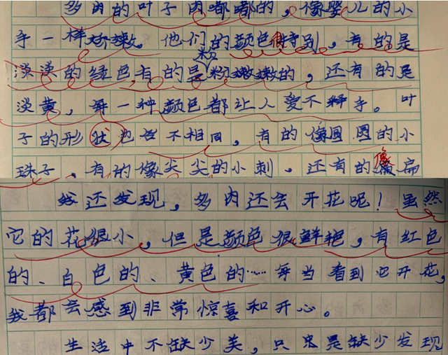 宜宾市南溪区福临小学校2023级2班：以文育人 与植同行