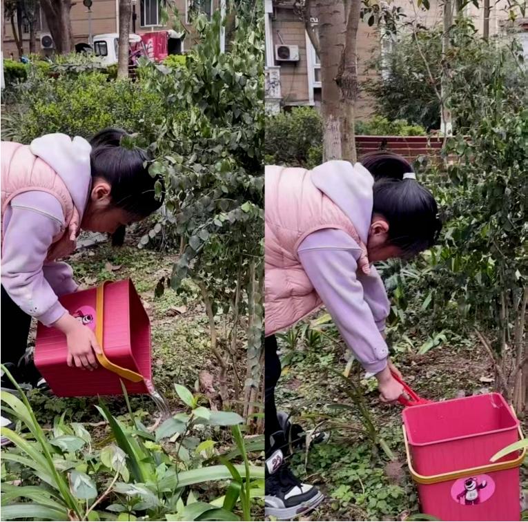 春风添新绿 童心护家园——宜宾市南溪区福临小学校二年级5班开展植树节实践活动