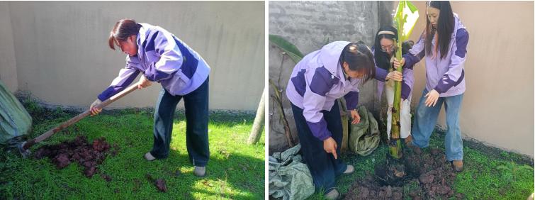 高县复兴镇幼儿园党支部：党建引领添新绿 “蕉”香满园践初心