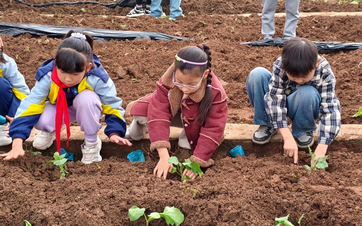 春耕启智 以劳润心——宜宾市南溪区长江学校2026年春期智慧农耕劳动实践活动圆满启幕