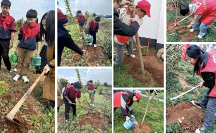 植绿护绿践初心 携手添美新家园——宜宾市南溪区林丰学校开展植树节实践活动