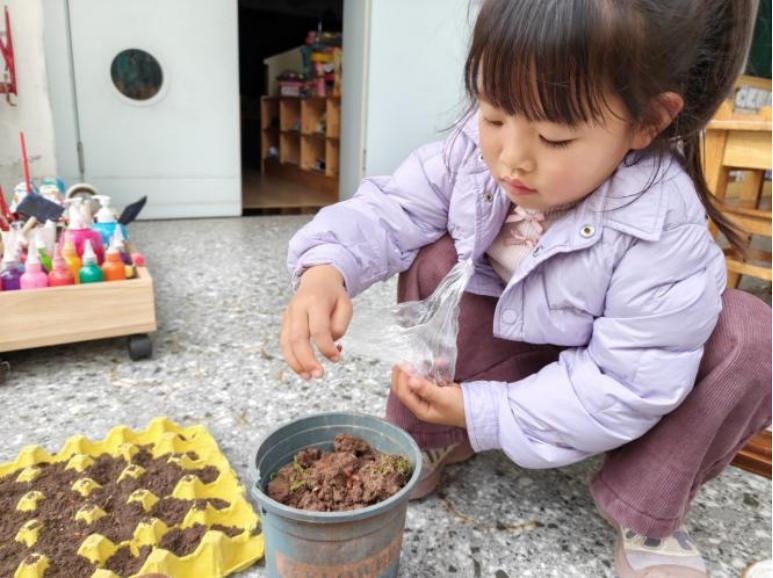 手植春光 心种希望——高县沙河镇幼儿园开展植树节活动