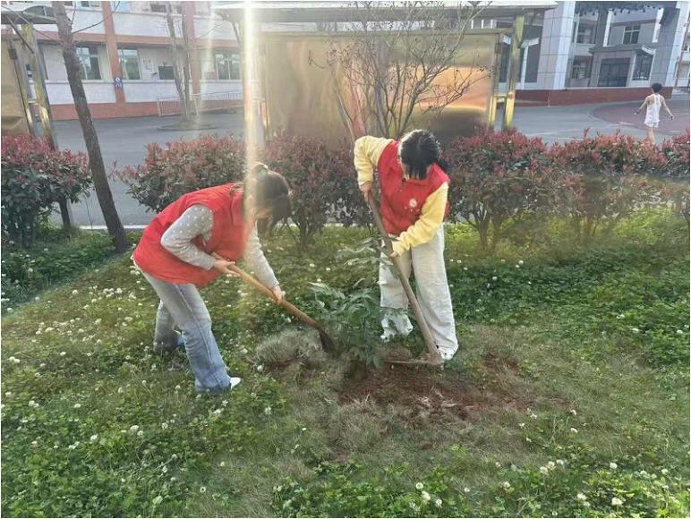 宜宾市叙州区高场职校组织开展植树活动