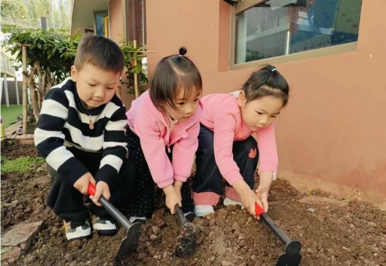播种生命 探索自然——宜宾三江新区菜园沱幼儿园种植体验课程纪实