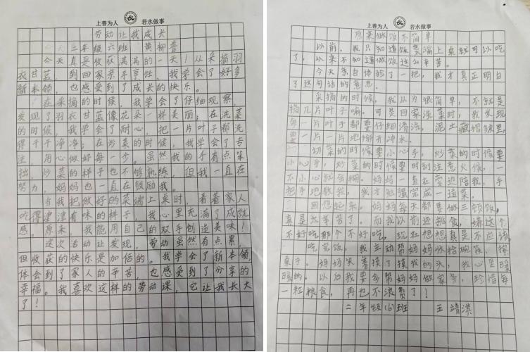 劳动促成长 厨房亦是课堂——宜宾市南溪区长江学校二年级六班“羽衣甘蓝”主题劳动实践纪实