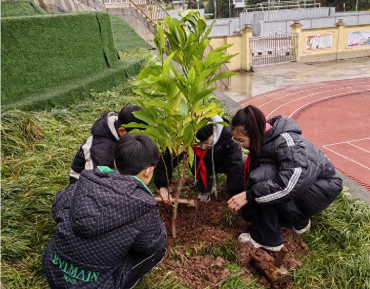 宜宾市叙州区双龙学校捧印小学校区开展植树节活动