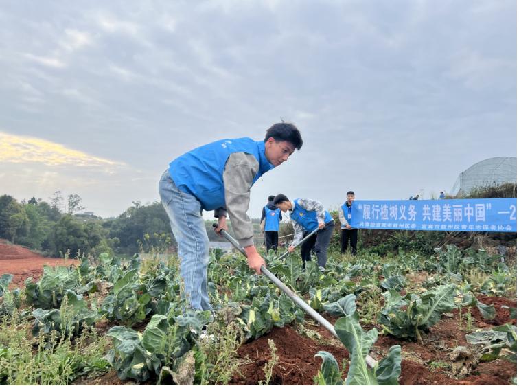 宜宾市叙州区柳嘉职校开展“履行植树义务·共建美丽中国”植树节活动