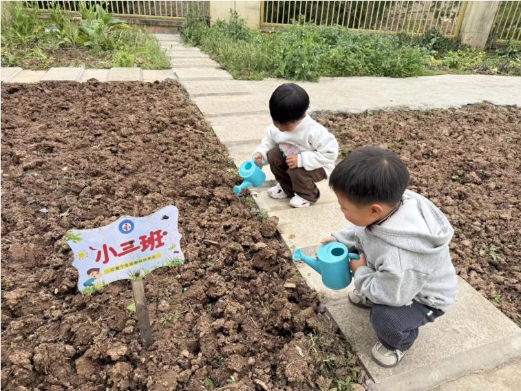 宜宾市叙州区双龙镇中心幼儿园开展植树节活动