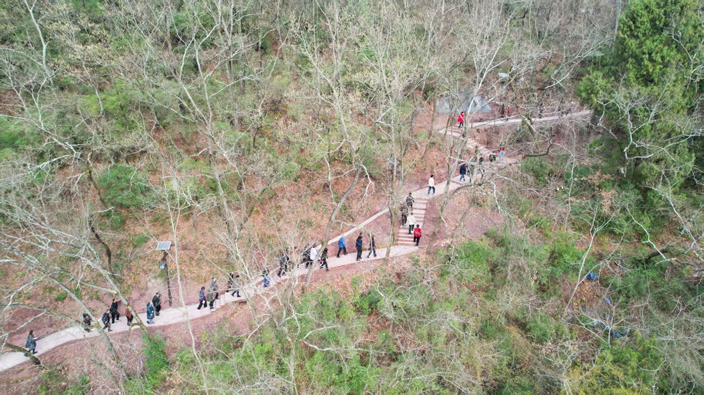 广元昭化：登高游园闹元宵 民俗年味别样浓