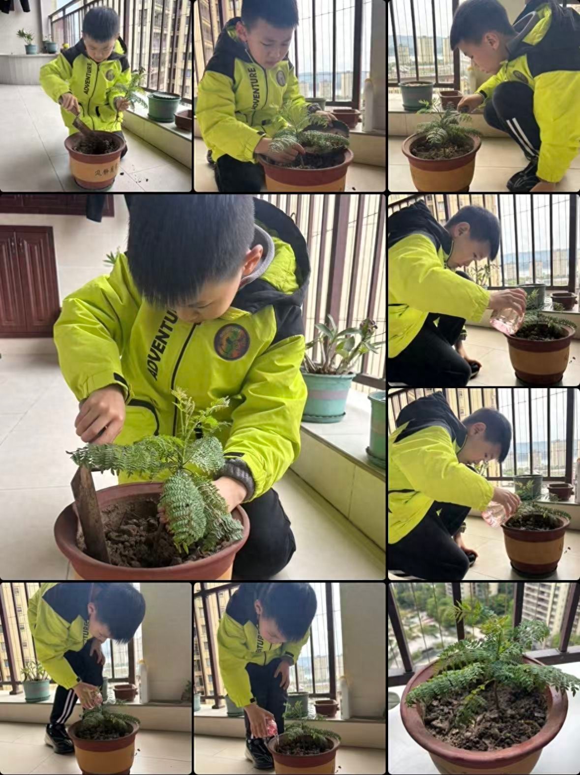植绿伴成长 童心筑春——宜宾市南溪区福临小学校四年级1班开展植树节实践活动