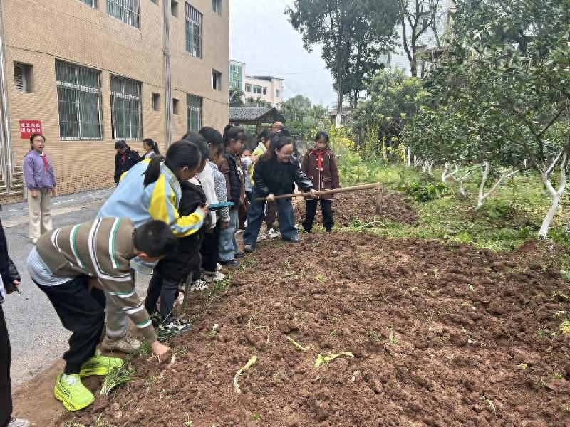 躬耕绿意田 劳动育童心——东禅小学2026年植树节实践活动圆满举行