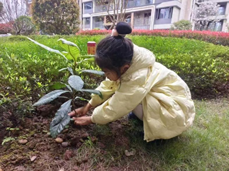 春风添新绿 亲子共植树——宜宾市南溪区福临小学校二年级2班开展植树节实践活动