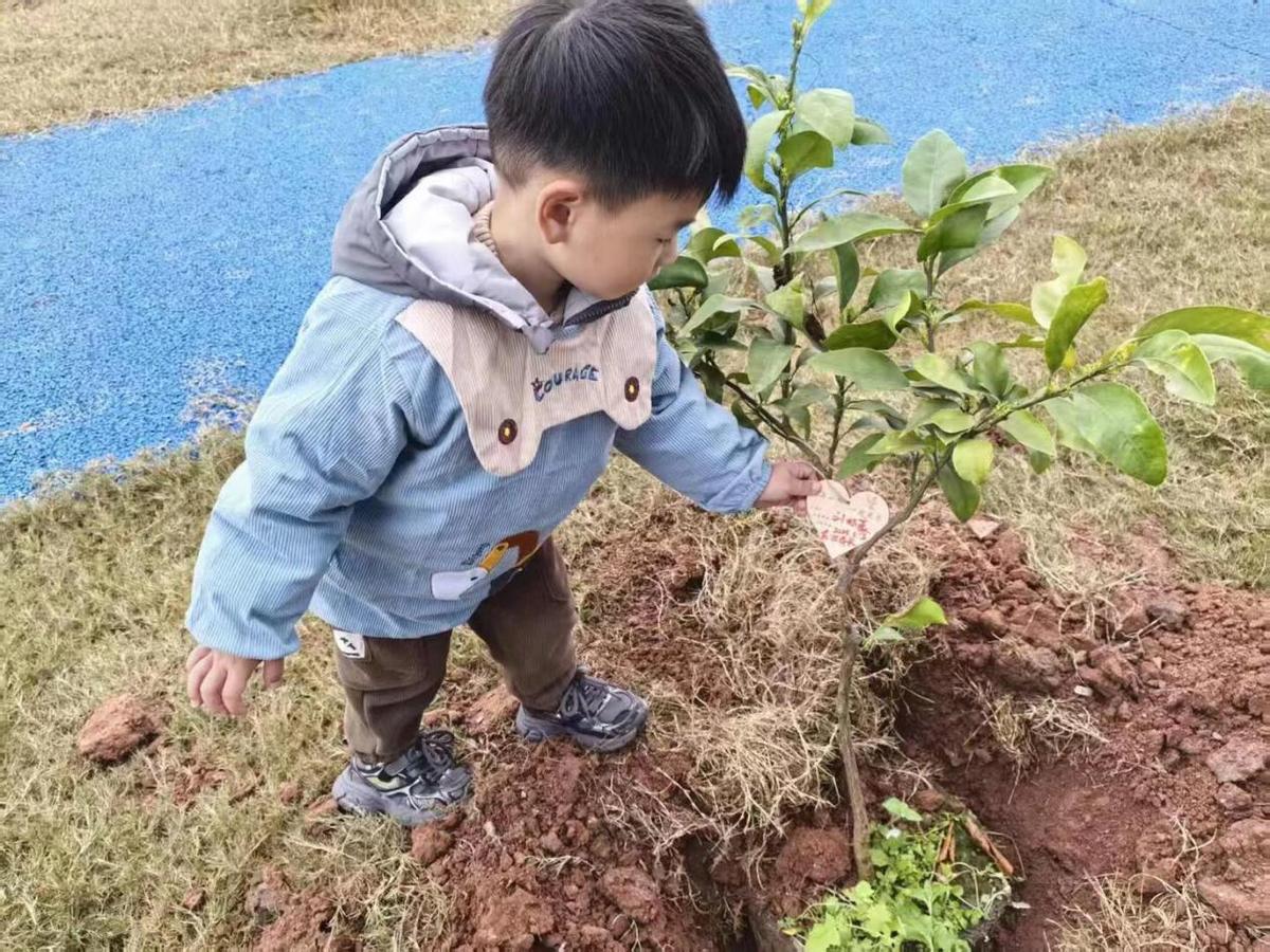 春启新绿，植梦同行——安居三幼开展植树节主题系列活动