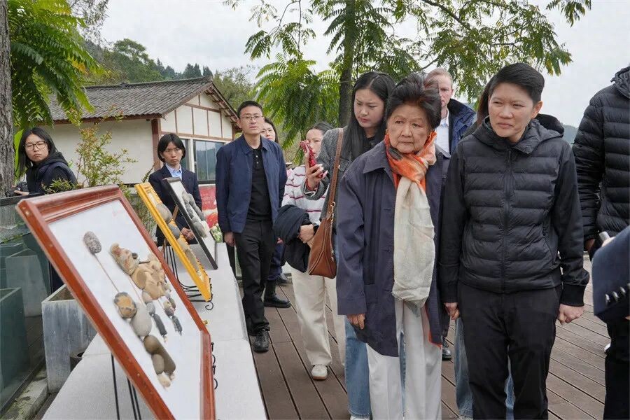 文艺活动 | 赏非遗 学书法——外国友人在遂宁共赴“友好之春”