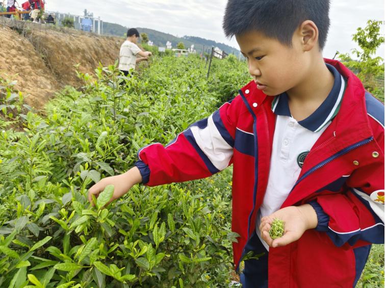 徒步山野寻春意 净山护绿润童心——宜宾市南溪区黄沙镇中心小学校开展环保公益徒步研学活动