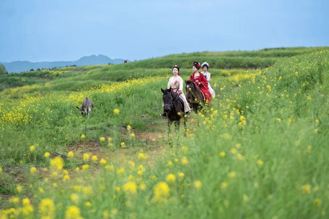 摄影视觉 | 遂宁，把春天玩成“爆款”