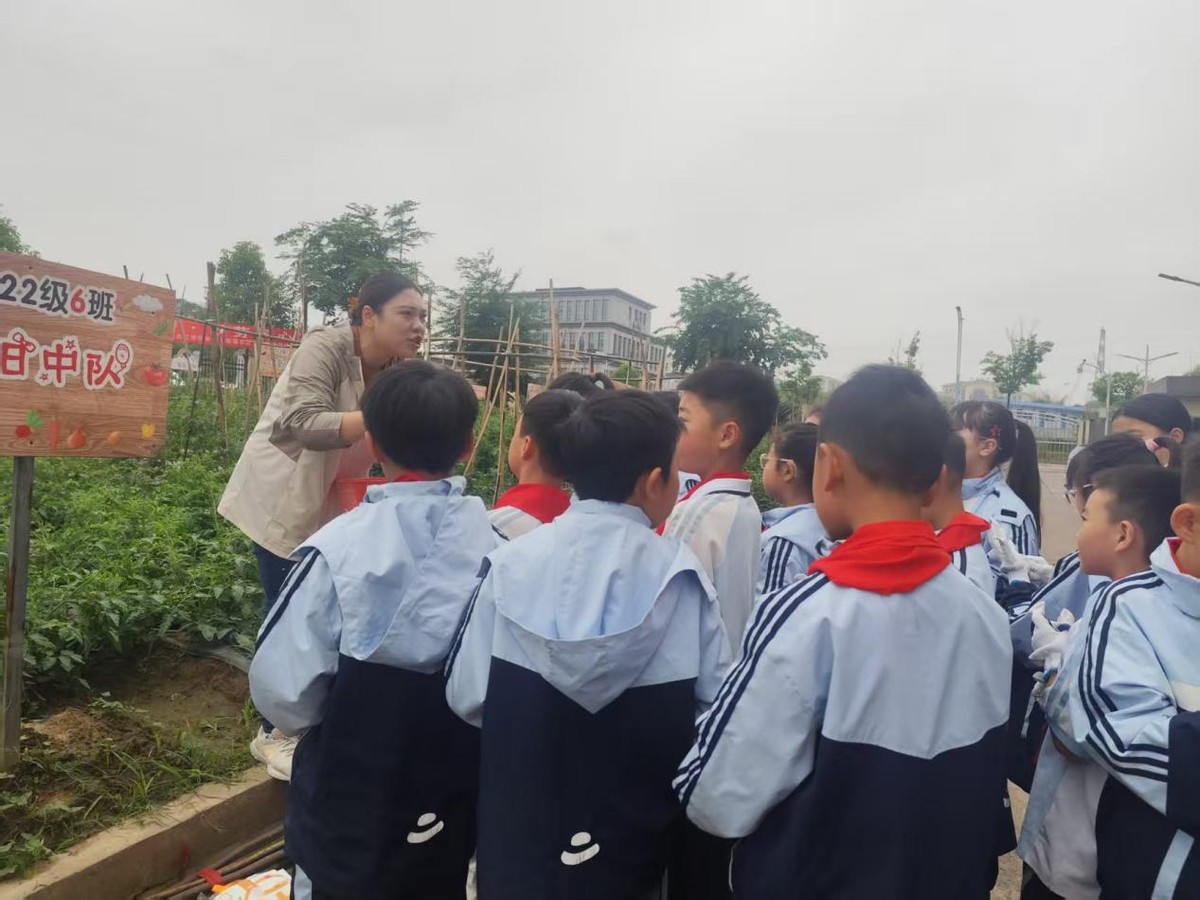 视导赋能促成长 深耕教学启新程——宜宾市南溪区长江学校迎接区师训中心教学视导工作