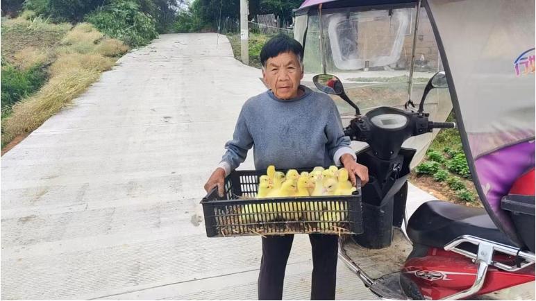 宜宾市南溪区黄沙镇龙口村：发放鹅苗 精准帮扶